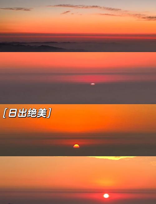 2025年5月 第46页