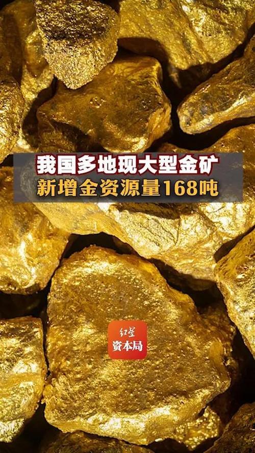 小伙11年探3座金矿,