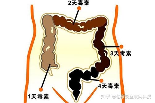客户服务 第28页